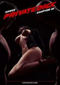 Fansadox Collection 502 - Hawke - Private dick 3